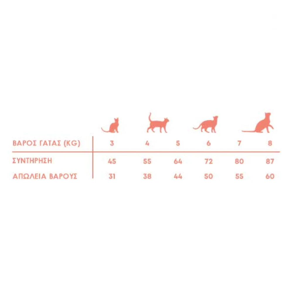 Ξηρά Τροφή Γάτας Harper & Bone Cat Sterilised Fresh Market 2kg για Στειρωμένες Γάτες