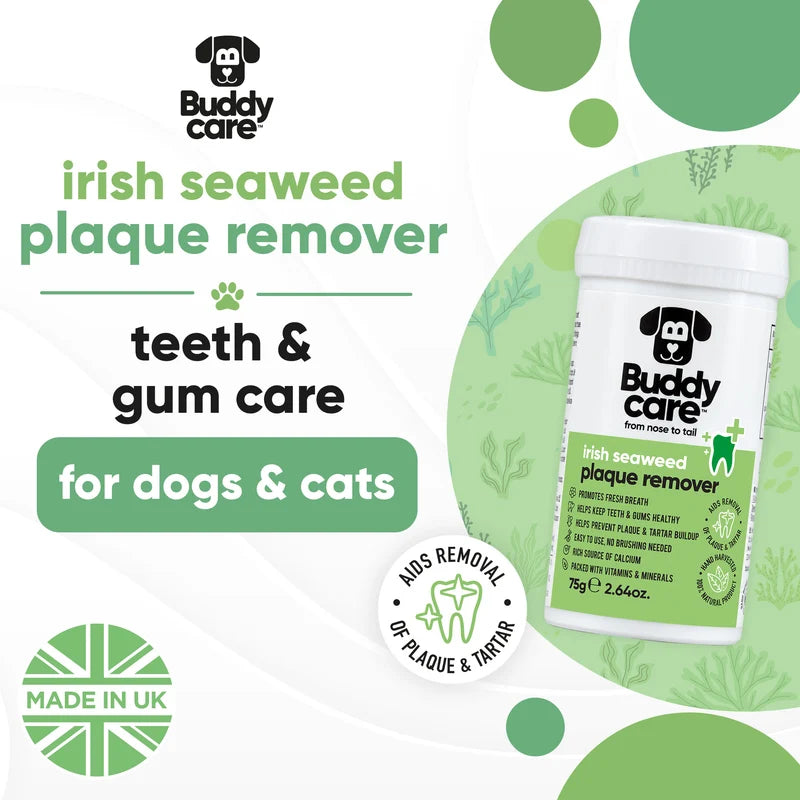 BUDDY CARE Irish Seaweed PlaqueRemover 75gr