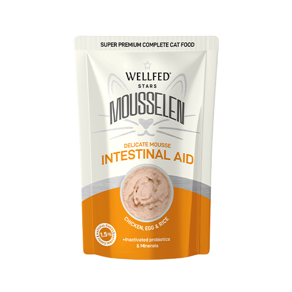 Υγρή Τροφή Γάτας WELLFED MOUSSELEN INTESTINAL AID 40gr