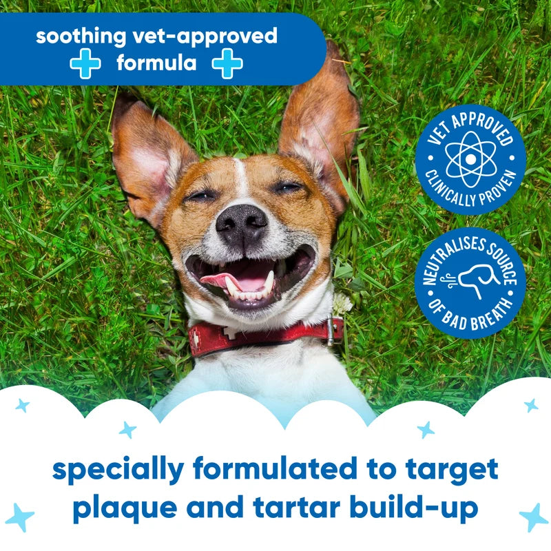 BUDDY CARE Pet Antiseptic Dental Spray 200ml
