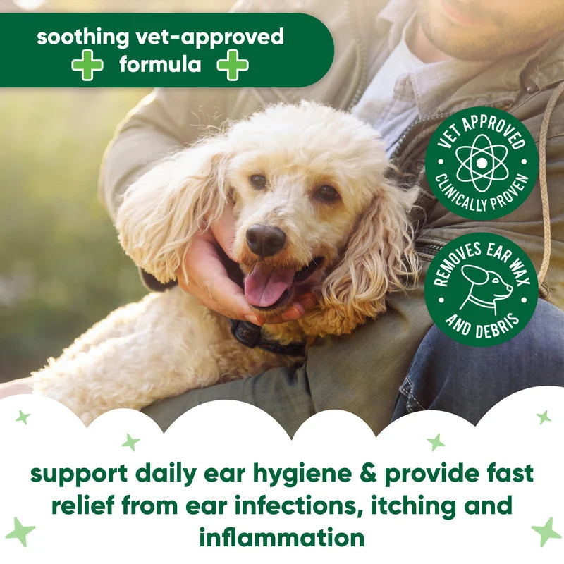 BUDDY CARE Pet Antiseptic Ear Drops 200 ml