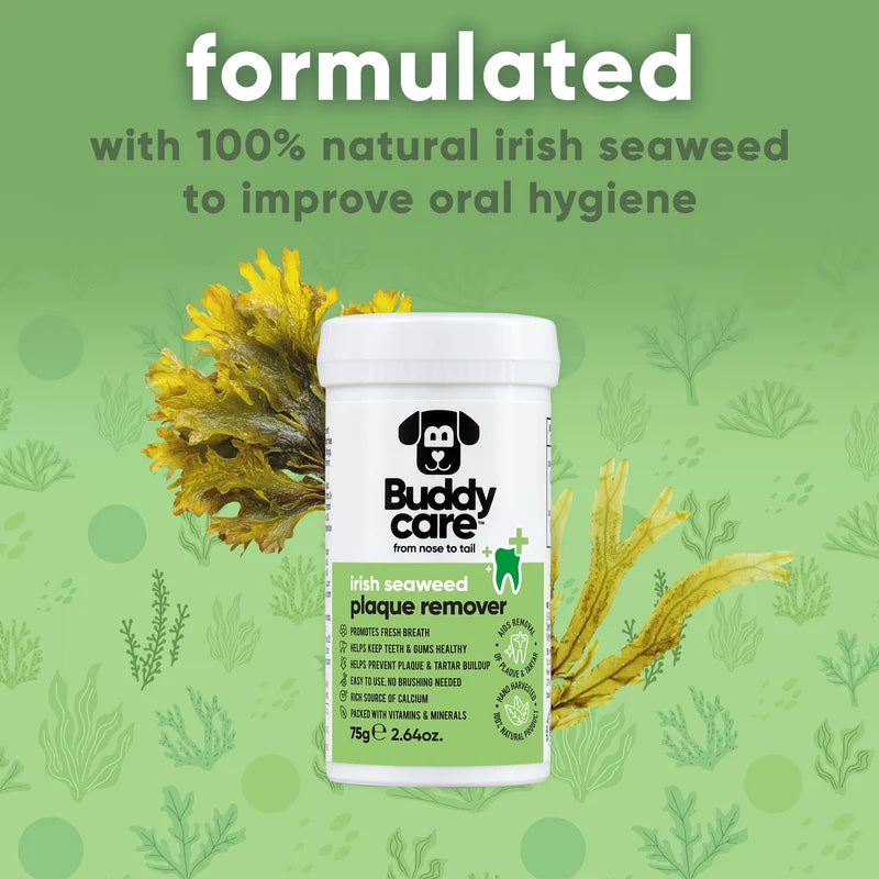 BUDDY CARE Irish Seaweed PlaqueRemover 75gr
