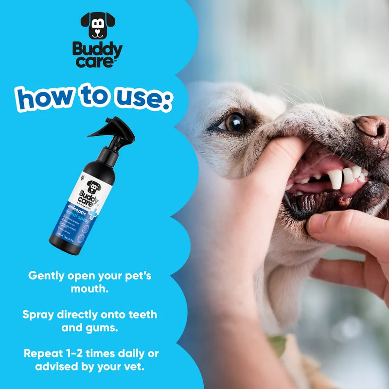 BUDDY CARE Pet Antiseptic Dental Spray 200ml