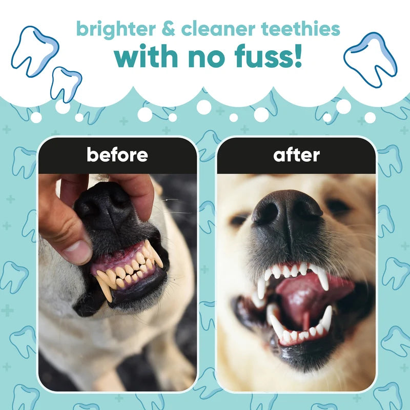 BUDDY CARE Dog Dental Care Solution 500 ml