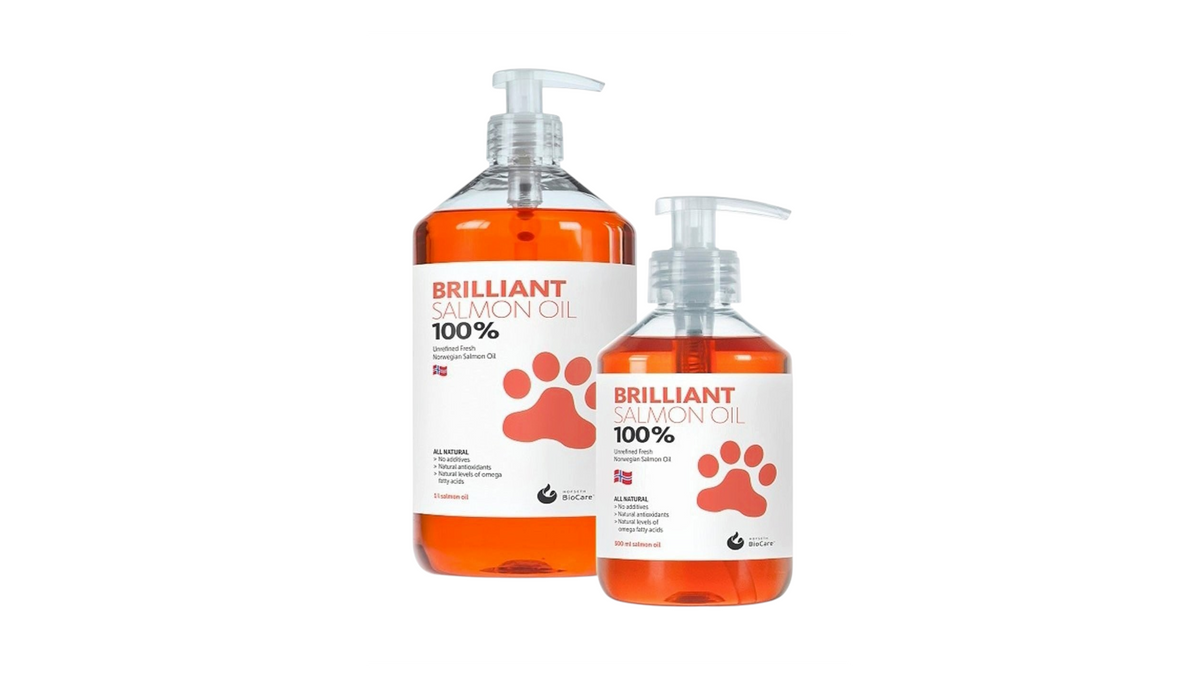 ΛΑΔΙ ΣΟΛΩΜΟΥ PET CAMELOT BRILLIANT 300ML