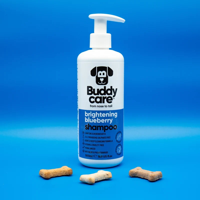 ΣΑΜΠΟΥΑΝ ΣΚΥΛΟΥ BUDDYCARE BRIGHTENING BLUEBERRY 500 ml