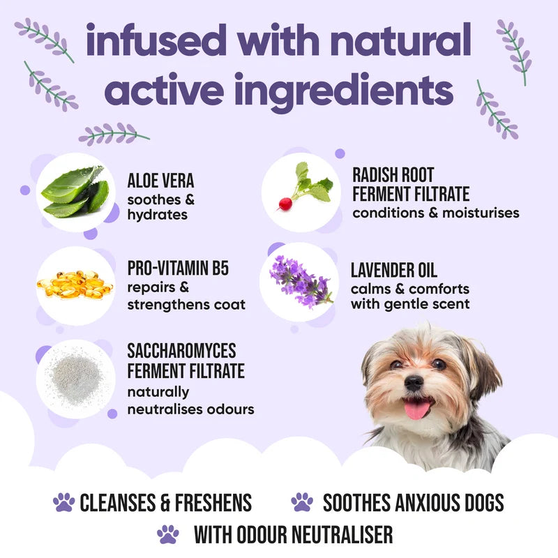 ΣΑΜΠΟΥΑΝ ΣΚΥΛΟΥ BUDDYCARE CALMING & DEODORIZING LAVENDER 500 ml