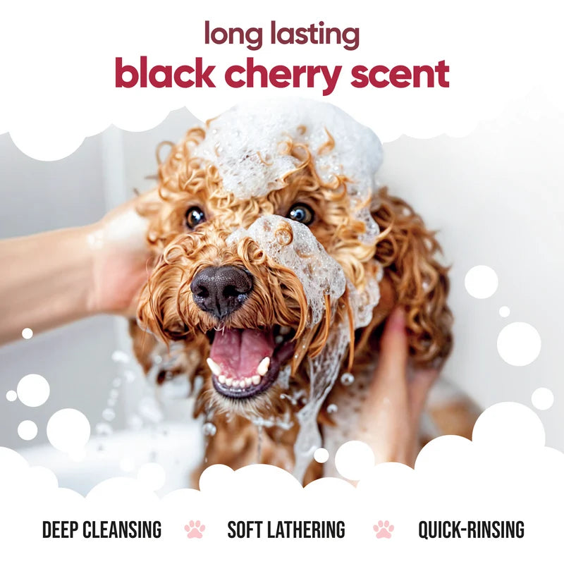 ΣΑΜΠΟΥΑΝ ΣΚΥΛΟΥ BUDDYCARE BLACK CHERRY 500ml