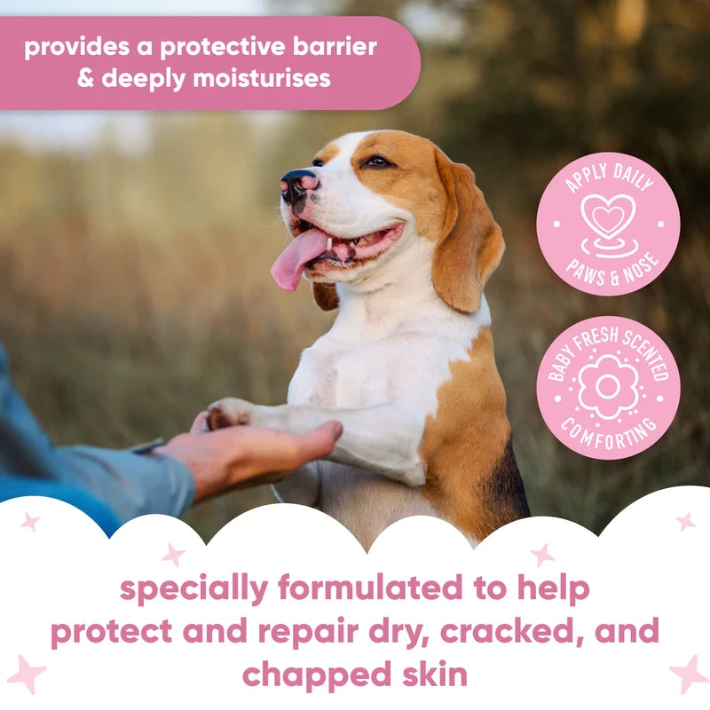 BUDDY CARE Paw & Nose Balm BabyFresh 21 gr