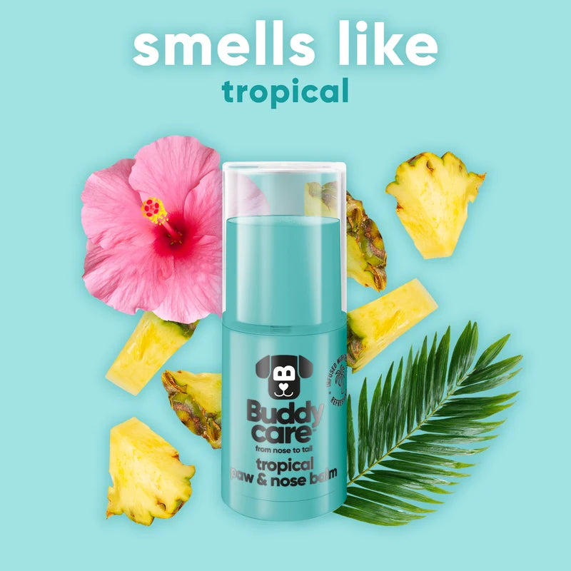 BUDDY CARE Paw & Nose Balm Tropical 21 gr