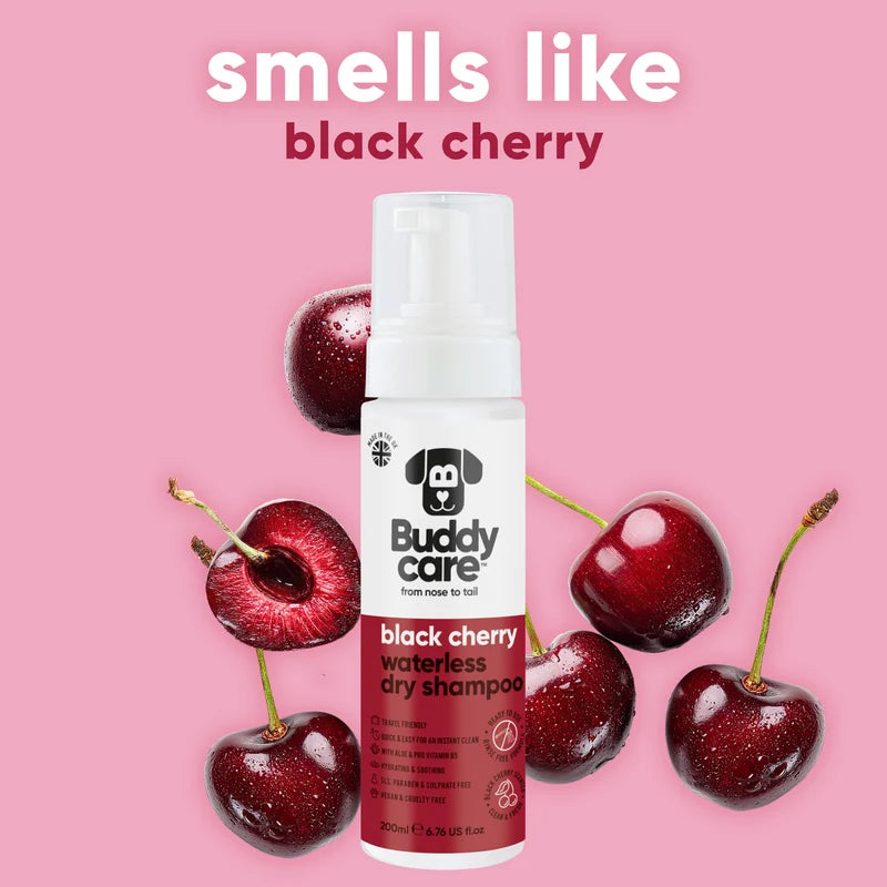 ΞΗΡO ΣΑΜΠΟΥΑΝ ΣΚΥΛΟΥ BUDDYCARE BLACK CHERRY 200 ml