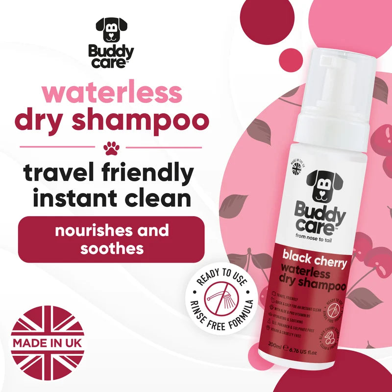 ΞΗΡO ΣΑΜΠΟΥΑΝ ΣΚΥΛΟΥ BUDDYCARE BLACK CHERRY 200 ml