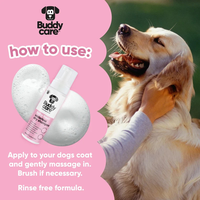 ΞΗΡΟ ΣΑΜΠΟΥΑΝ ΣΚΥΛΟΥ BUDDYCARE BABY FRESH 200 ml