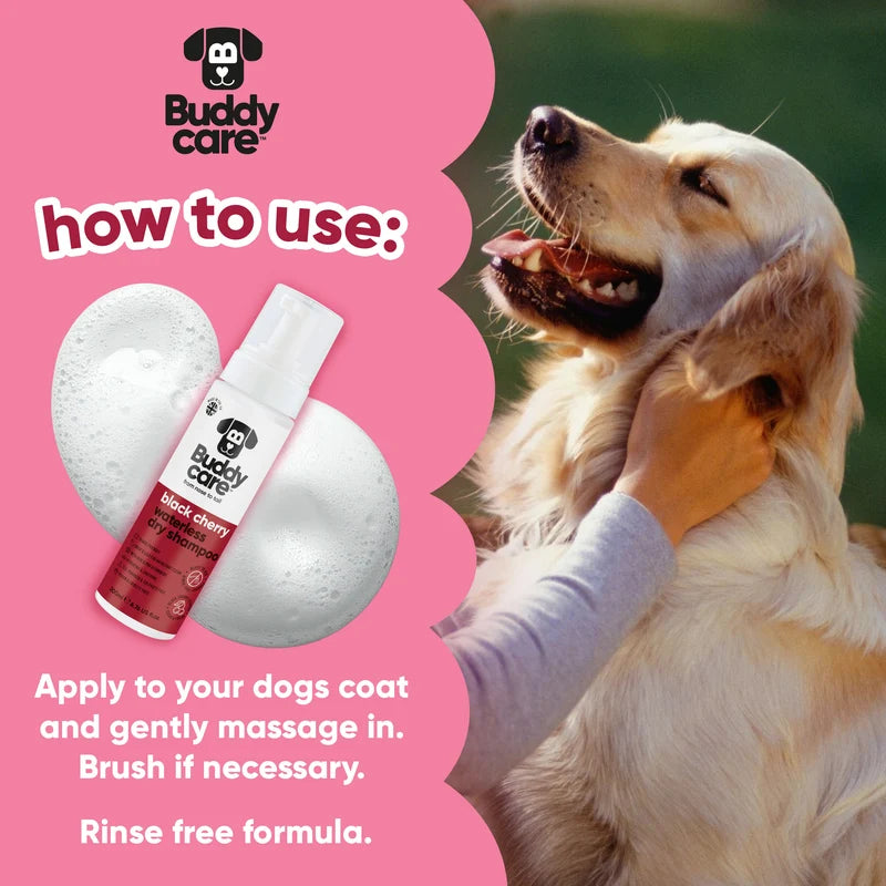 ΞΗΡO ΣΑΜΠΟΥΑΝ ΣΚΥΛΟΥ BUDDYCARE BLACK CHERRY 200 ml