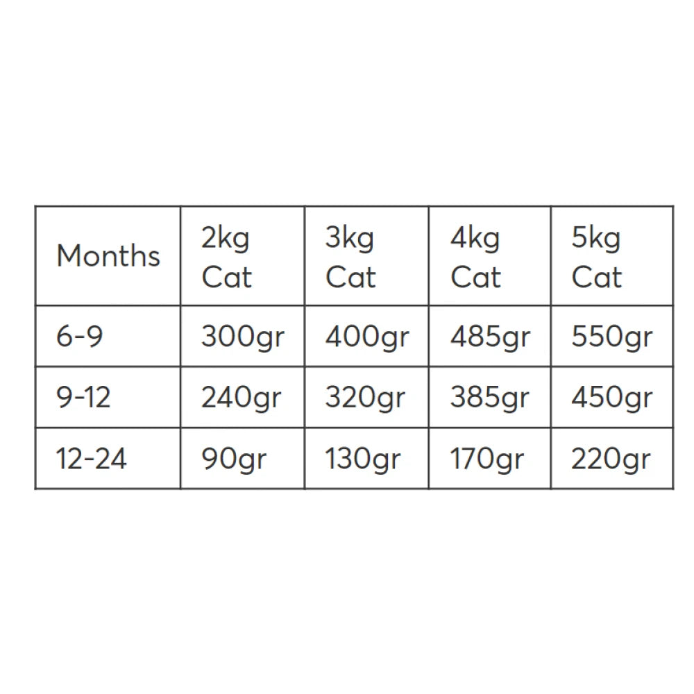 Υγρή Τροφή Γάτας Wellfed Young Sterilized Turkey and Beef 400gr